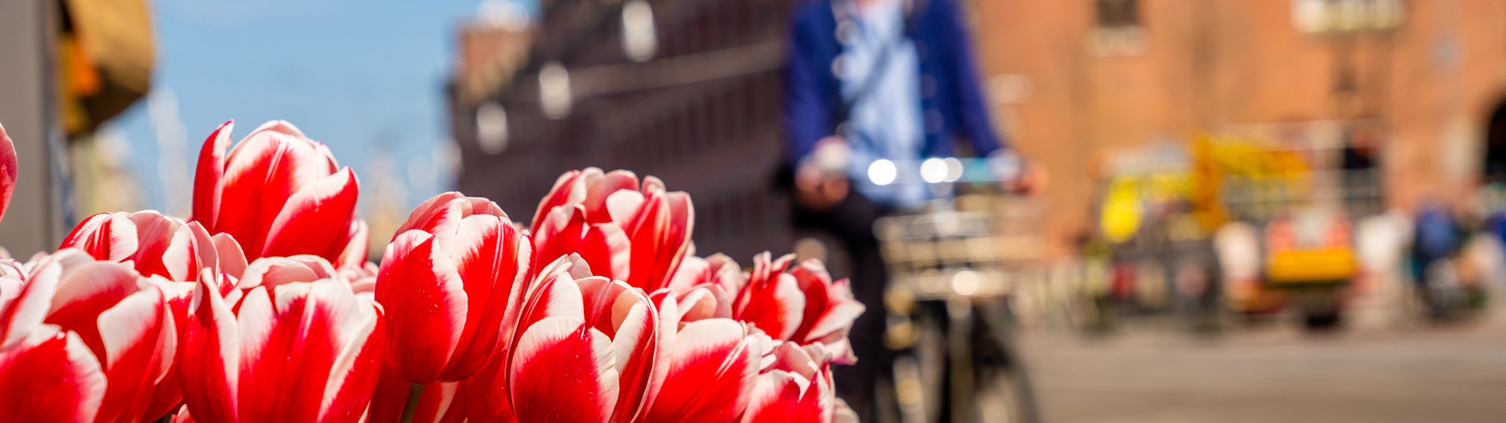 Eindhoven365 zag een groei van +112% op een van hun belangrijkste KPIs dankzij hun nieuwe DXP