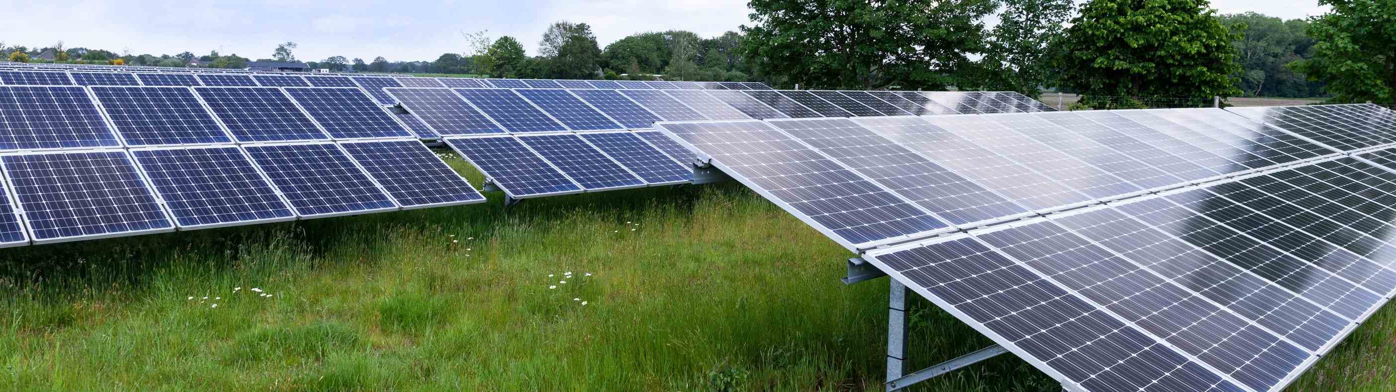 Maaten Bougie zeer tevreden over de inzet van Aviva